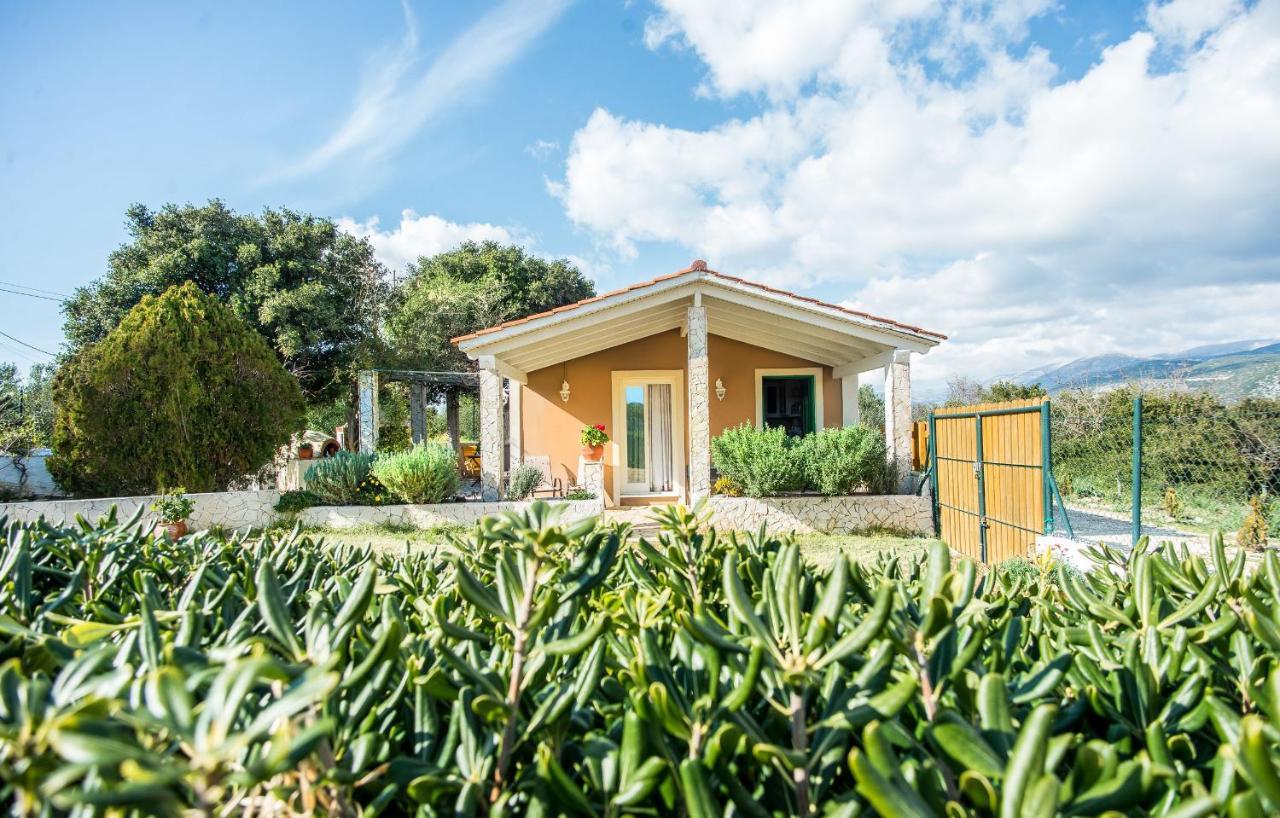 Villa Aelia - A Peaceful And Private Place 阿尔戈斯托利翁 外观 照片