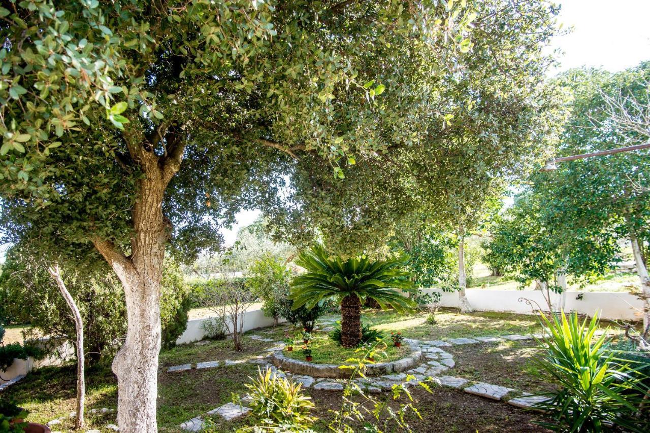Villa Aelia - A Peaceful And Private Place 阿尔戈斯托利翁 外观 照片
