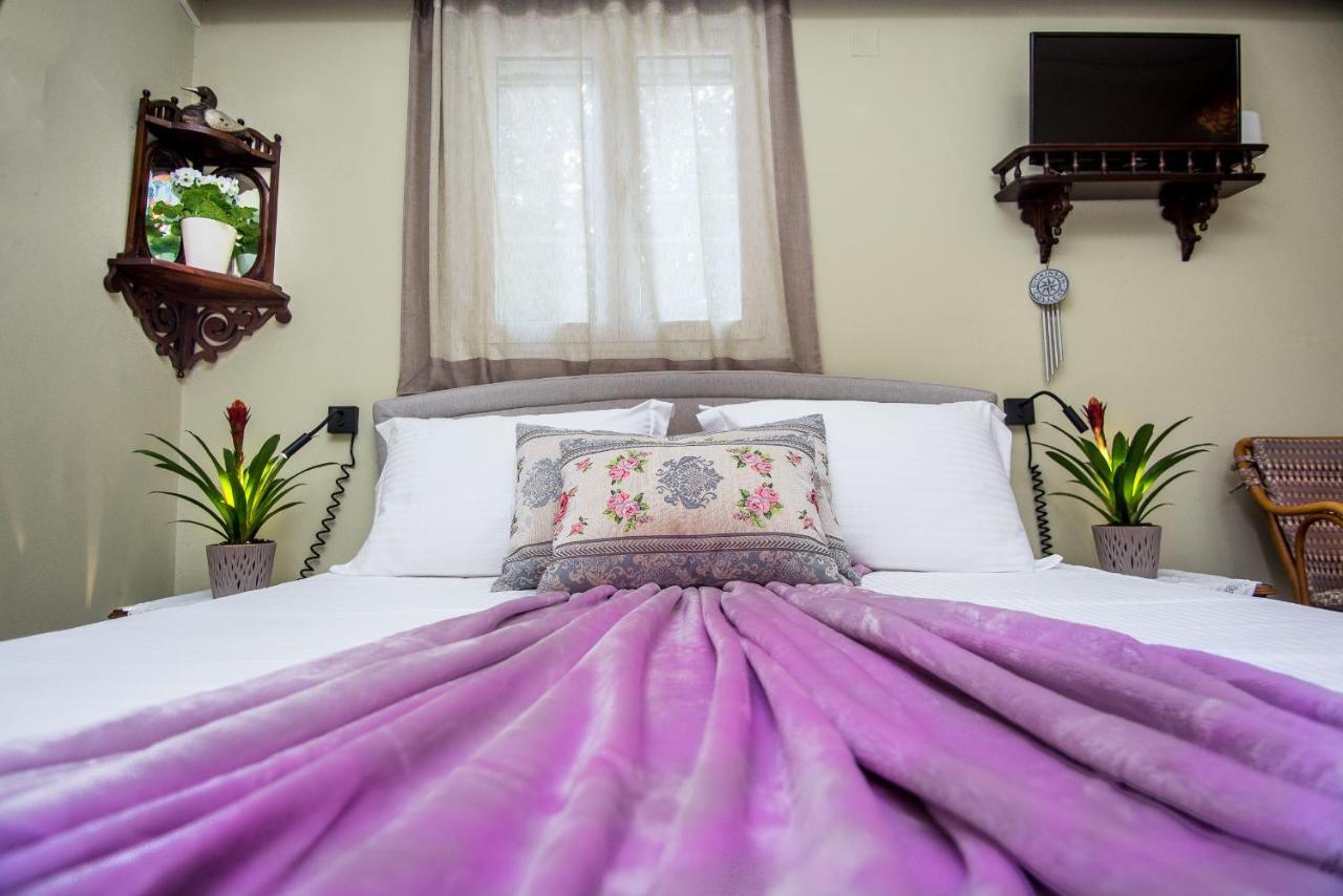 Villa Aelia - A Peaceful And Private Place 阿尔戈斯托利翁 外观 照片