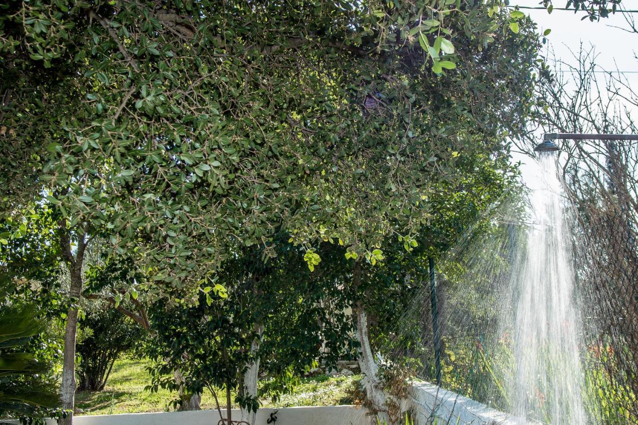 Villa Aelia - A Peaceful And Private Place 阿尔戈斯托利翁 外观 照片